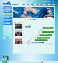 廣州與深圳網站建設成功案例 選擇18年老牌萬戶網絡，打造專業(yè)精品網站