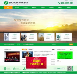 安徽豐樂農化網站建設 打造數(shù)字化農業(yè)服務平臺
